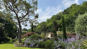 A lush garden with a variety of plants and a small building, likely a guesthouse or cottage, surrounded by trees. -  Big pool (19m), large beds, AIRCON, fast WIFI, EV charger, BBQ, peace and quiet (Cagnes-Sur-Mer)