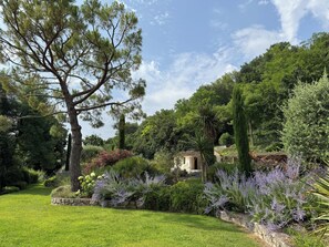 Áreas de la propiedad