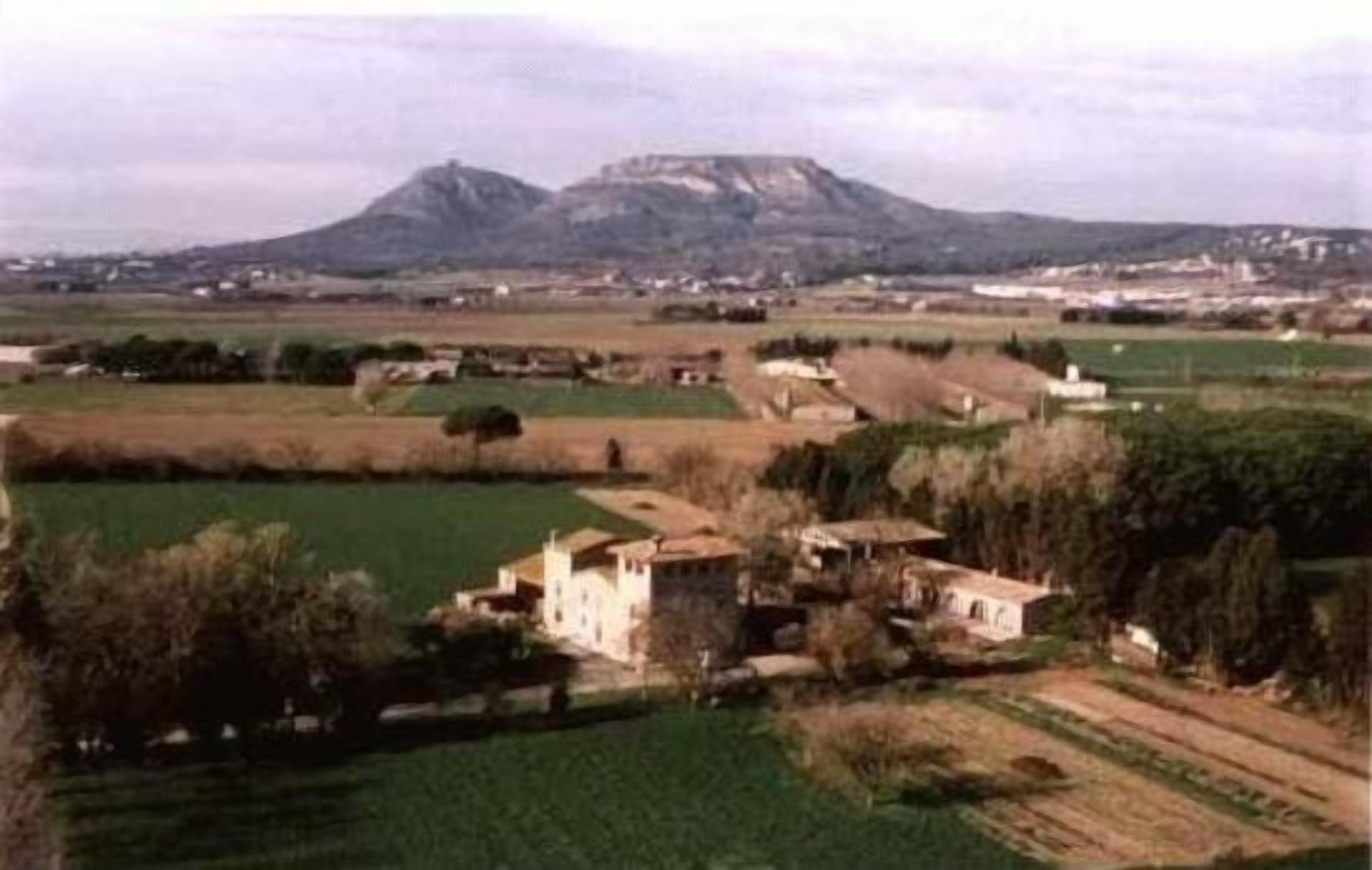 Rural apartment Mas D'en Bou for 4 people