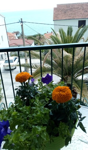 Property grounds - Comfort apartmant with terrace, sea view and pool near beach (Podstrana)