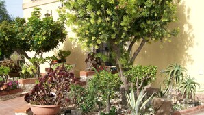 A garden with various potted plants and a small tree. - Country Cottage / Gite - Siracusa (Siracusa)