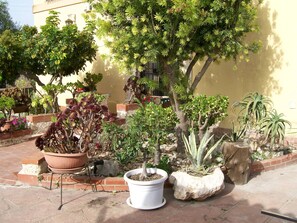 Property grounds - Country Cottage / Gite - Siracusa (Siracusa)