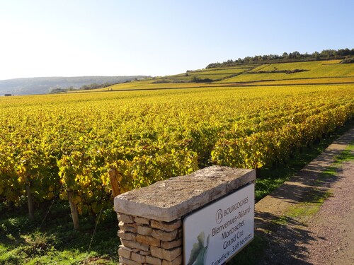 The Mews, Puligny-Montrachet. Comfort, charm, cheerful, restored Barn, sleeps 2.