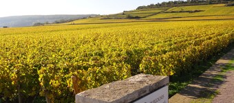 Le Mews, Puligny-Montrachet. Confort, charme, gai, grange restaurée, 2 couchages.