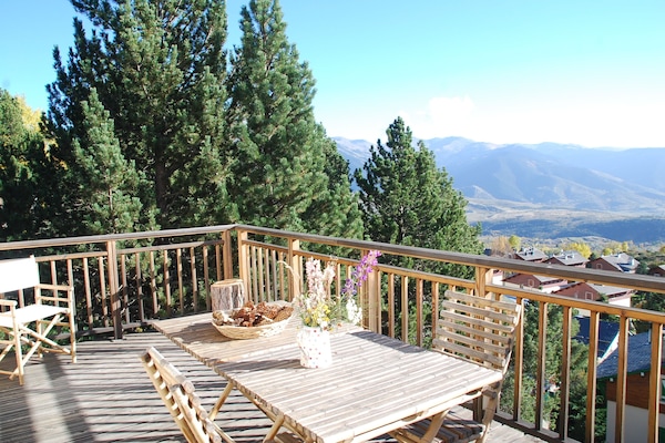 Fleurs et champignons de fin d'été