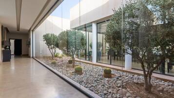 Edifici modern amb façana de vidre, passeig pavimentat i un petit jardí amb cactus i arbres.