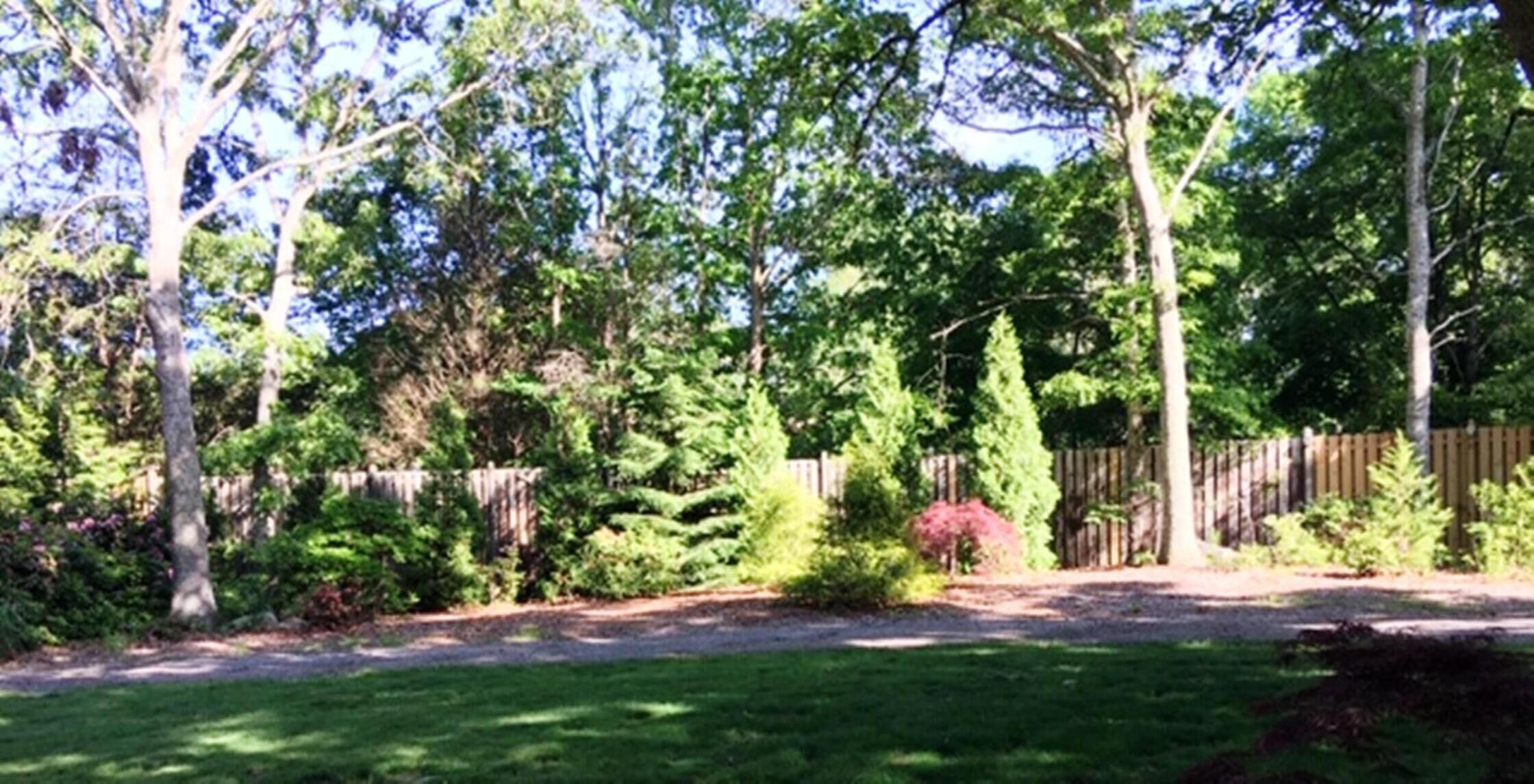 A backyard with a wooden fence, various trees, and a lawn.