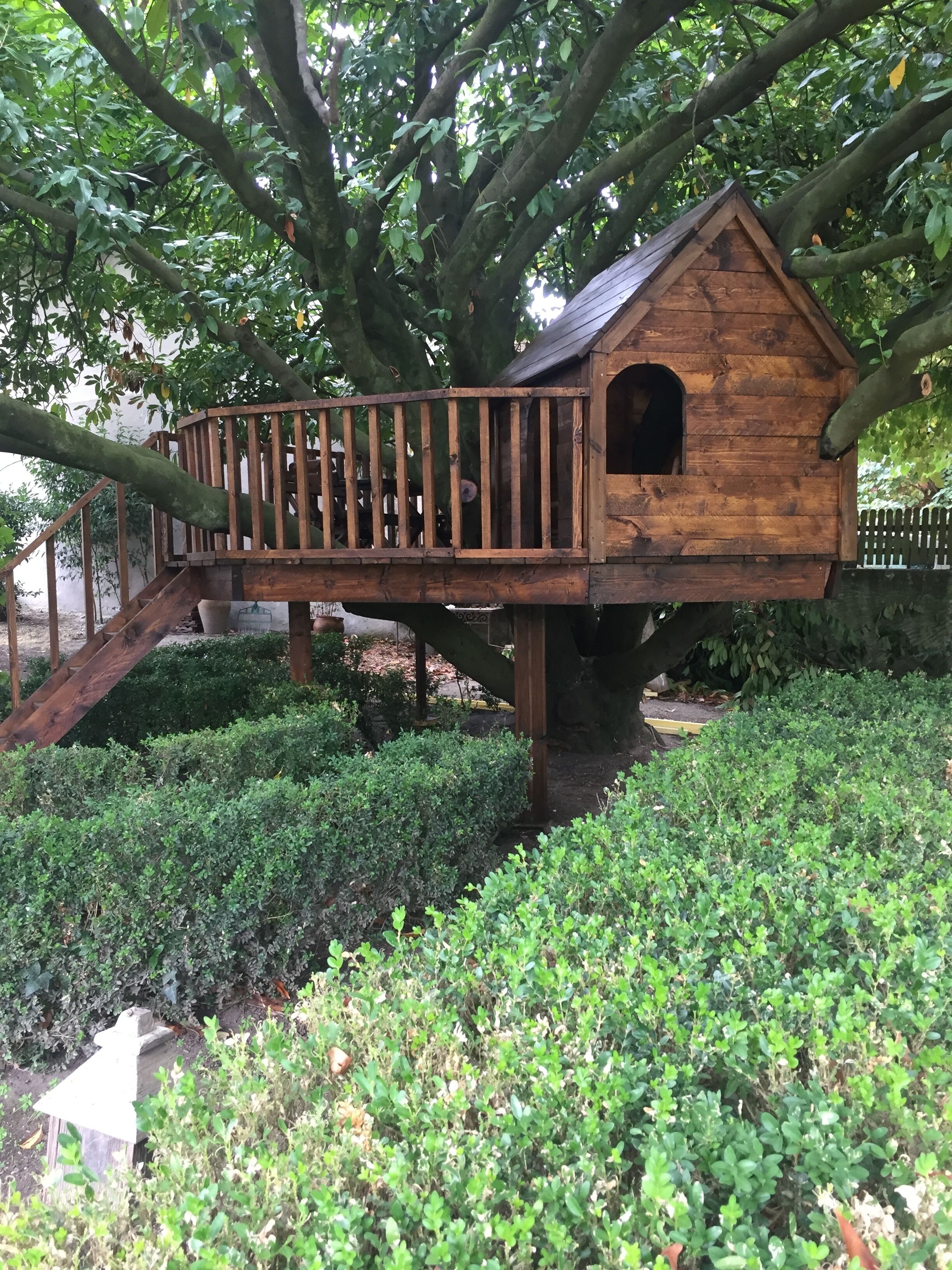 Une nichée à oiseaux en bois, dotée d’une petite ouverture, d’un escalier en bois menant à l’intérieur, et entourée d’un jardin agrémenté d’arbustes.