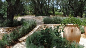 Un chemin de pierres bordé d’une végétation luxuriante et de grands arbres.