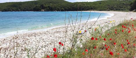 In Strandnähe, Strandtücher