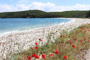 En strand med hvide sten, røde blomster og et klart, blåt hav.