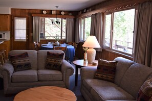 TV, fireplace, DVD player