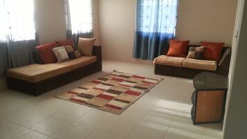 Una televisión, una chimenea, un reproductor de DVD, libros