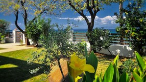 A garden with a yellow flower, trees, and a view of the sea. - Balconies on the sea - the garden apartment (Thassos)