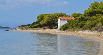 Vivez votre 1h de rĂȘve grec d'AthĂšnes sur l'Ăźle d'Evia