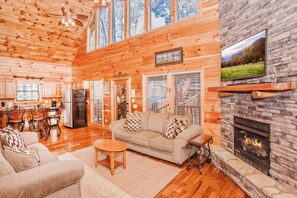 TV, fireplace, video games, DVD player