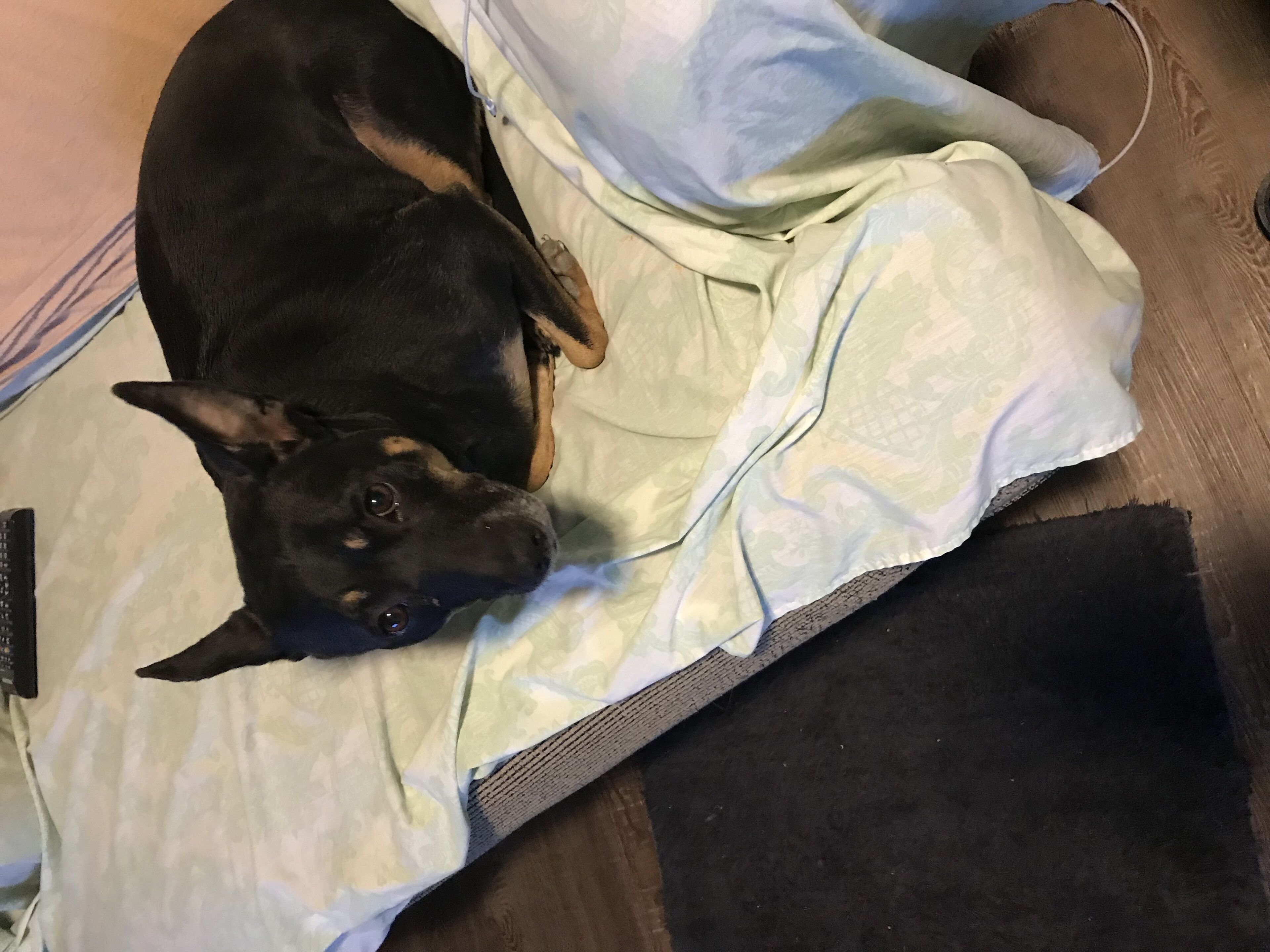 Pahrump Queen Bed & Private Bath, Death Valley Front Sight