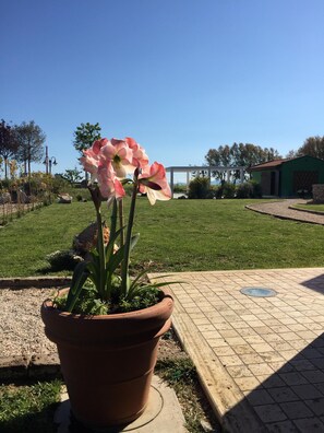 Property grounds - Farmhouse with swimming pool 2 km away from the sea (Piombino (LI))