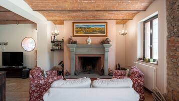 TV, fireplace, video games, books