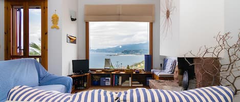 Smart TV, fireplace, books, stereo