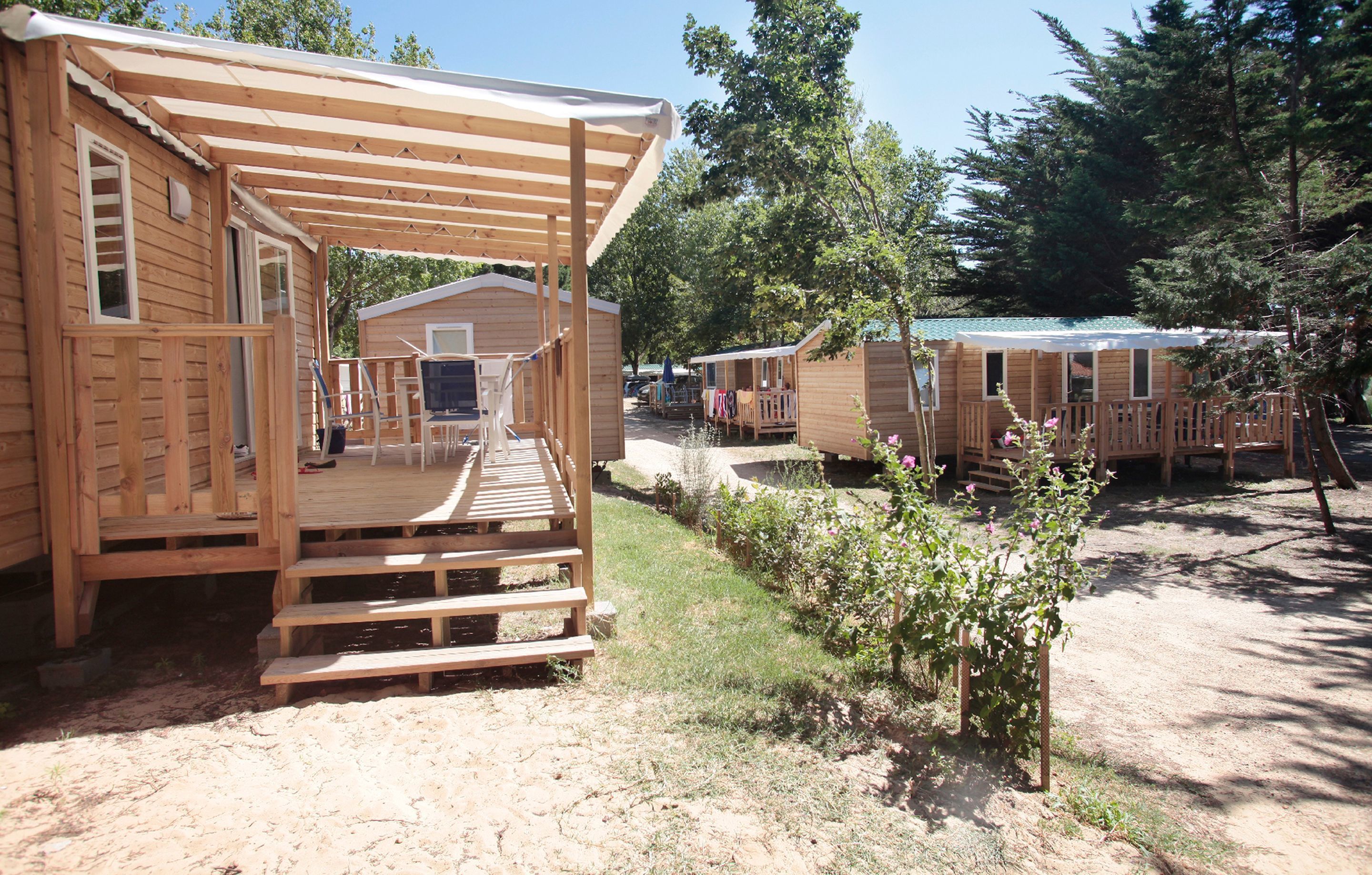 Barnesenger og wi-fi (mot et tillegg)