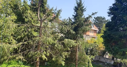 Apartment Kehl zentral und ruhig nähe Strassbourg / Europapark