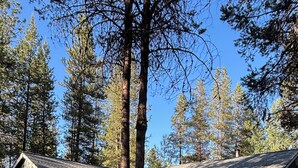 A lodge with a covered porch, a garage, and a lawn. - Welcome To Our "Home To The Outdoors" (La Pine)