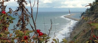 Peacock Pad: Rent, komfortabelt hjem med en strandsti mellom Sequim og PA