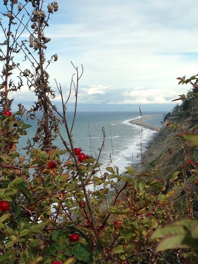 Private Beach Access, Clean, Comfortable Home between Sequim & Port Angeles 