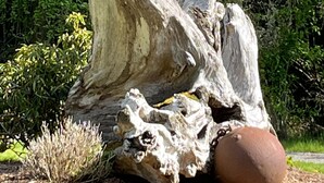 A large, weathered tree trunk sculpture in a garden setting. - Private Beach Access, Clean, Comfortable Home between Sequim & Port Angeles  (Port Angeles)