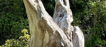 Private Beach Access, Clean, Comfortable Home between Sequim & Port Angeles 