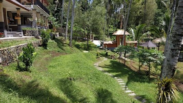 Quang cảnh vườn