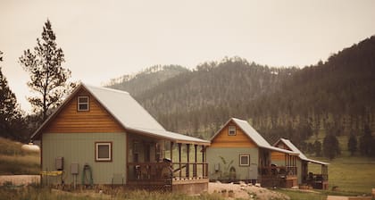 Bauernhaushütte in den Black Hills