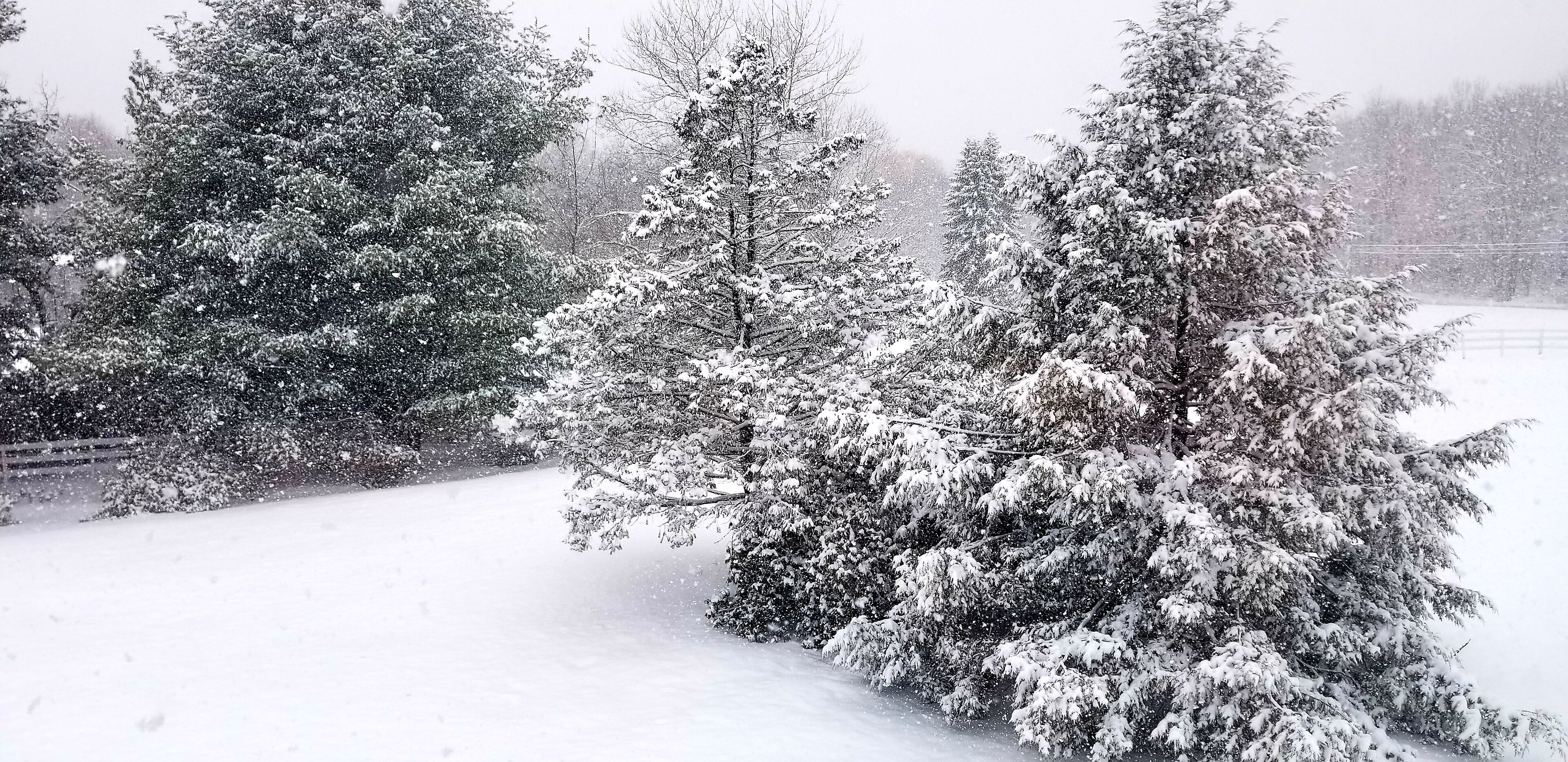 Litchfield County Four Season Country Paradise