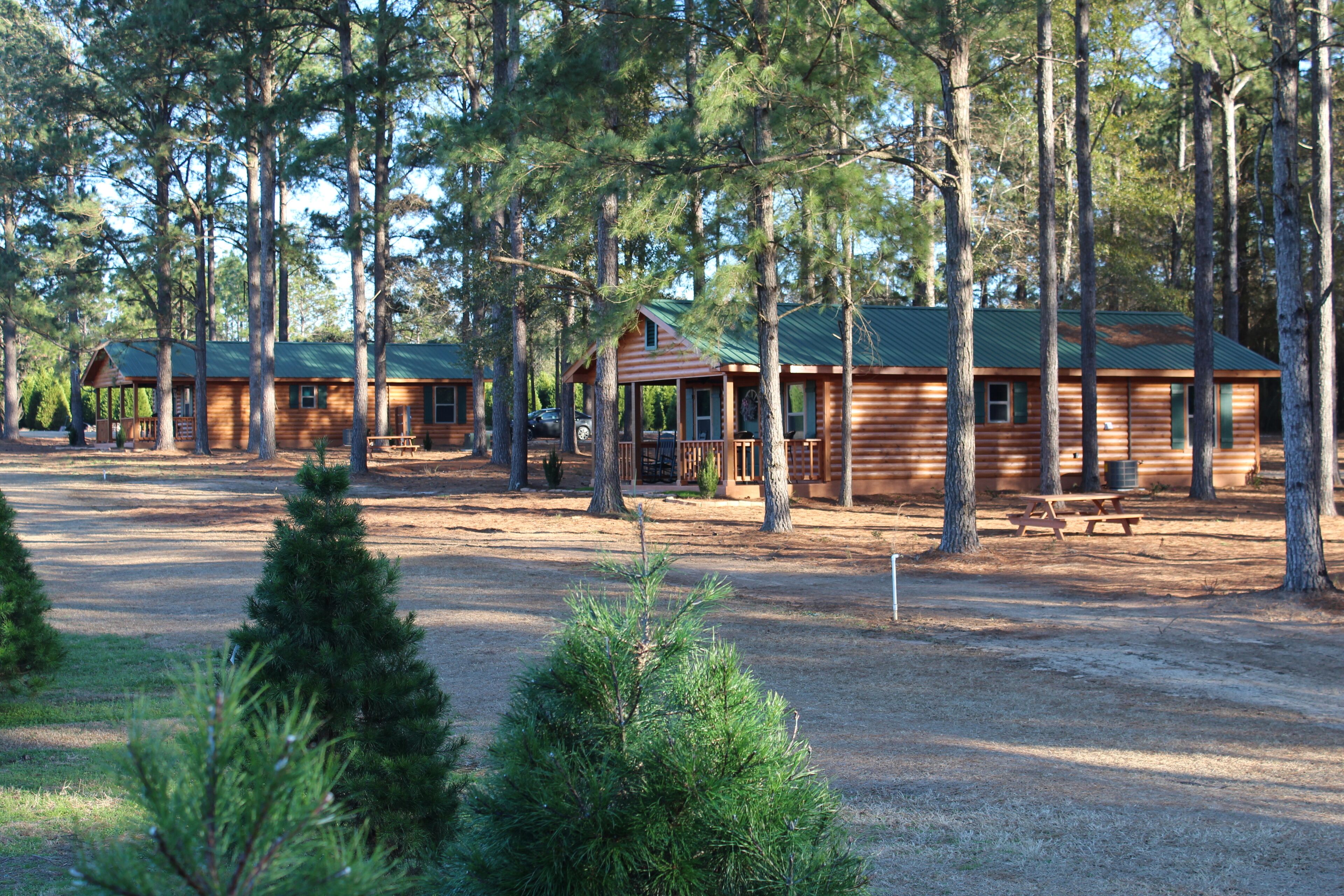 The Cabins At Fish River Christmas Trees - Cabin C