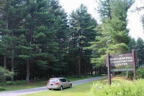 Property grounds - Lakefront Cottage w/Dock, Kayaks (Morris)