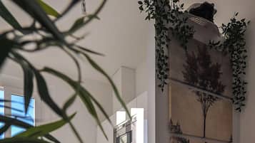 Réfrigérateur, micro-ondes, plaque de cuisson, cafetiÚre/bouilloire