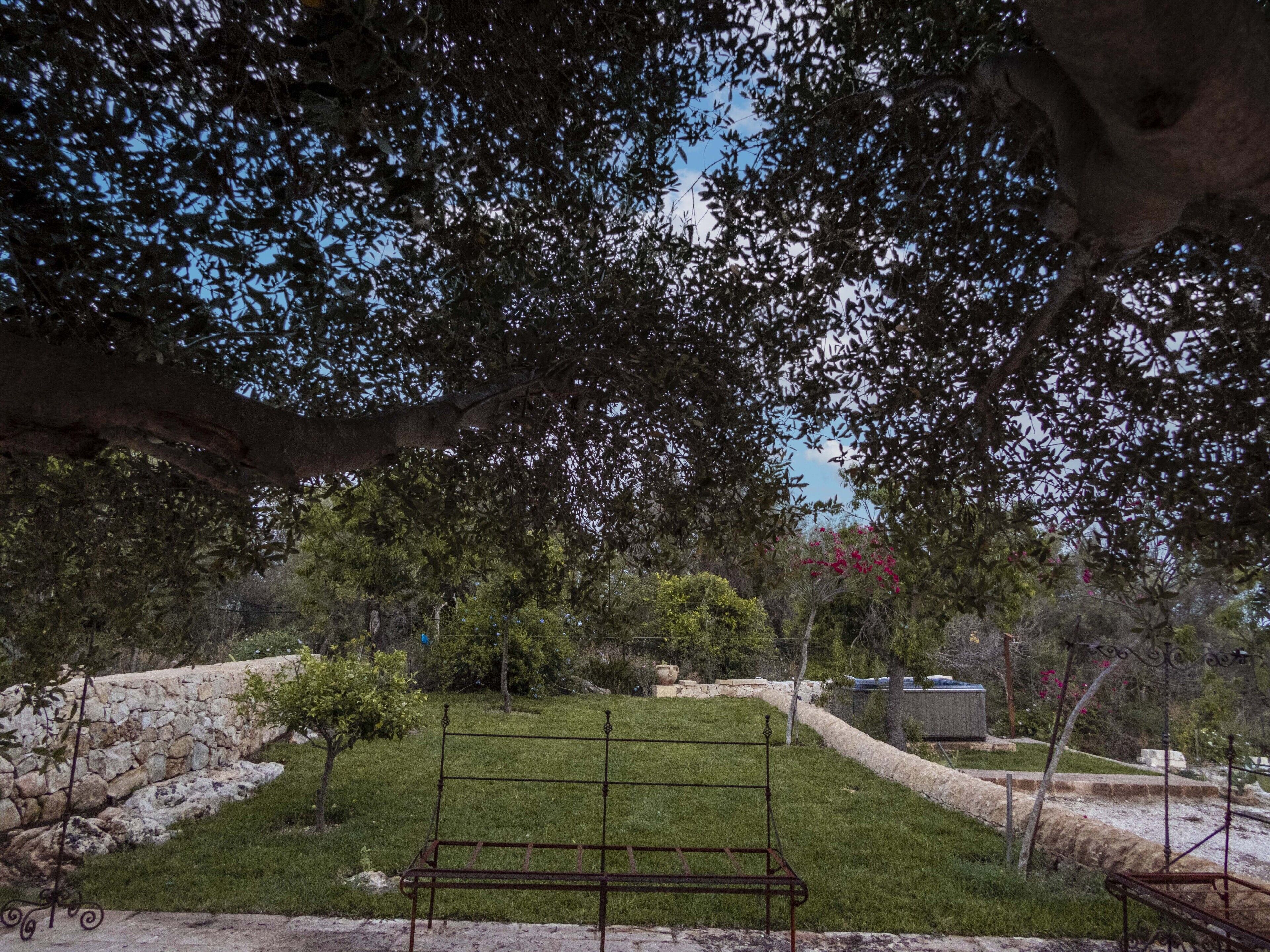 Un parco con una panchina in metallo, muretti in pietra e diversi alberi.