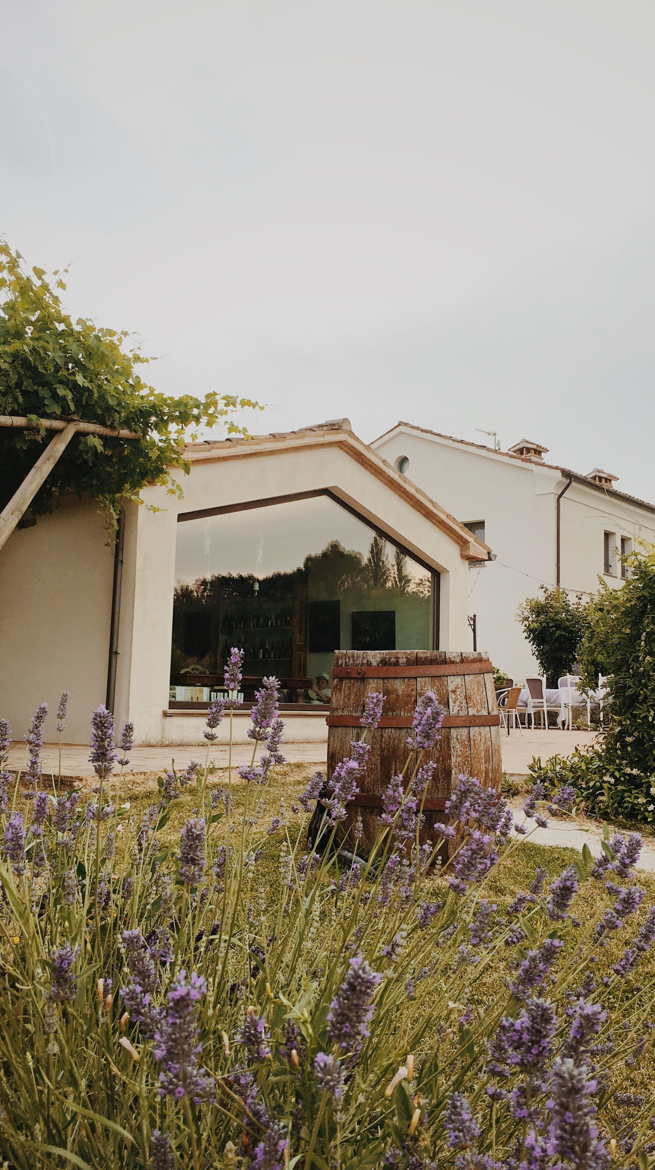 Parco della struttura