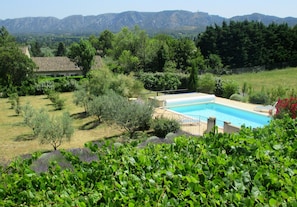 Pool - Vacation rental SAINT REMY DE PROVENCE LS1-196 (Saint Remy de Provence)