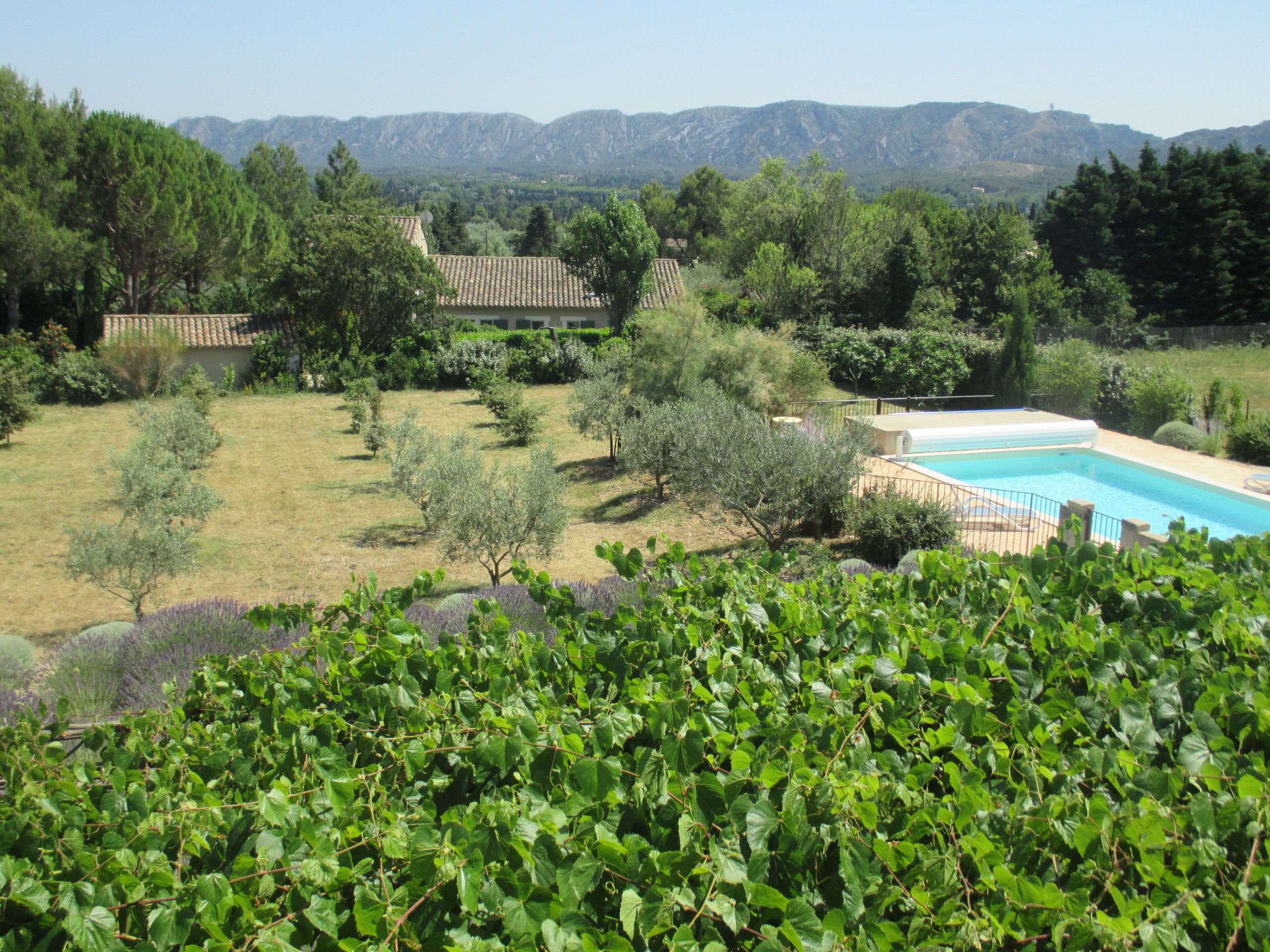 A pool surrounded by a garden with various plants and trees, a fenced area, and a view of distant mountains.