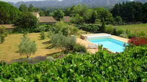 A swimming pool surrounded by lush greenery and a mountain backdrop.