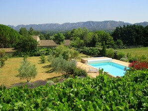 A swimming pool surrounded by lush greenery and a mountain backdrop.