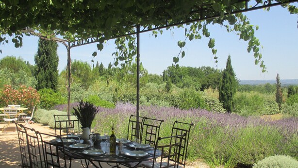 An outdoor dining area with a round table and chairs, surrounded by lush greenery and a field of lavender.