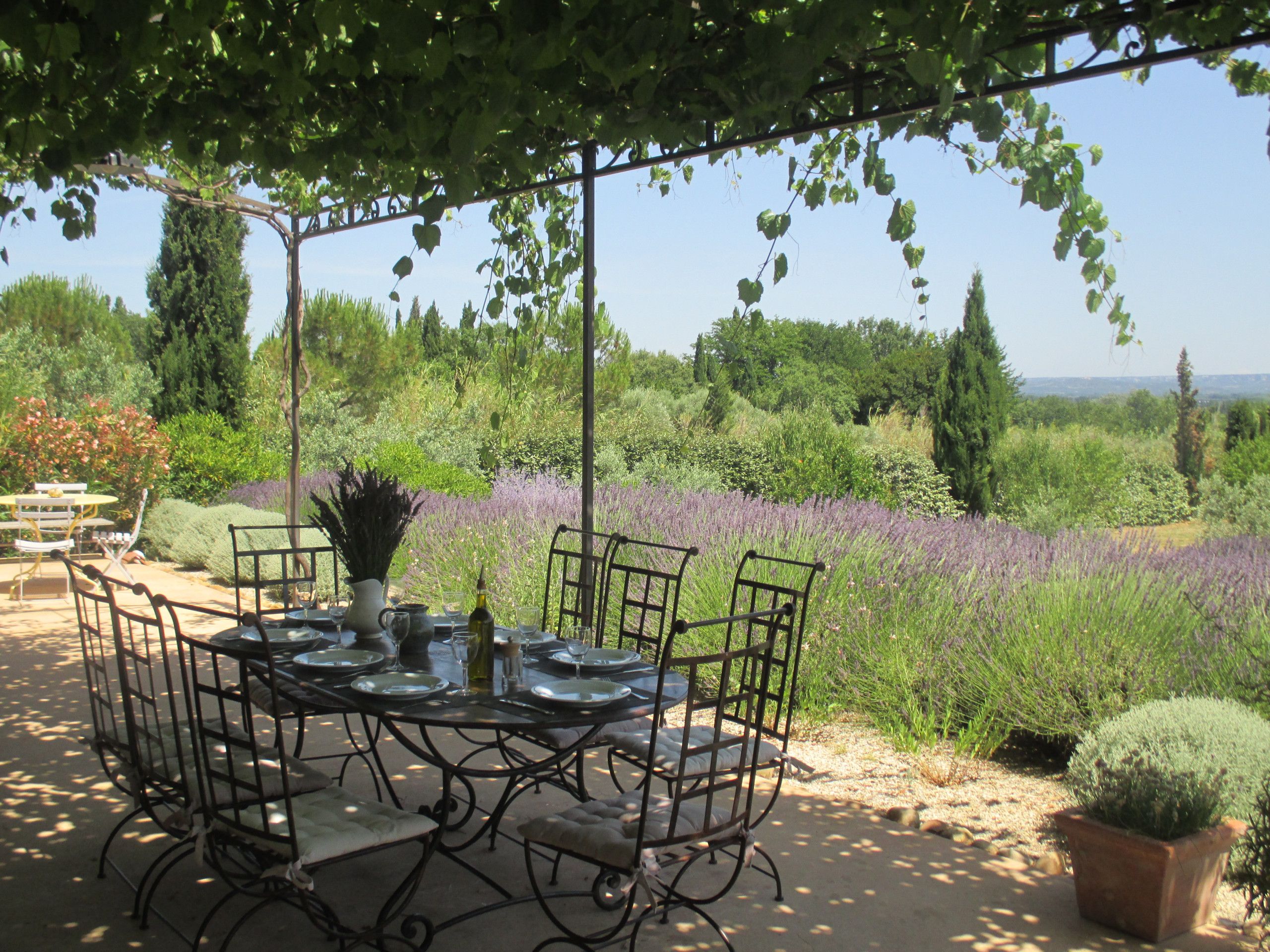 An outdoor dining area with a round table and chairs, surrounded by lush greenery and a field of lavender.
