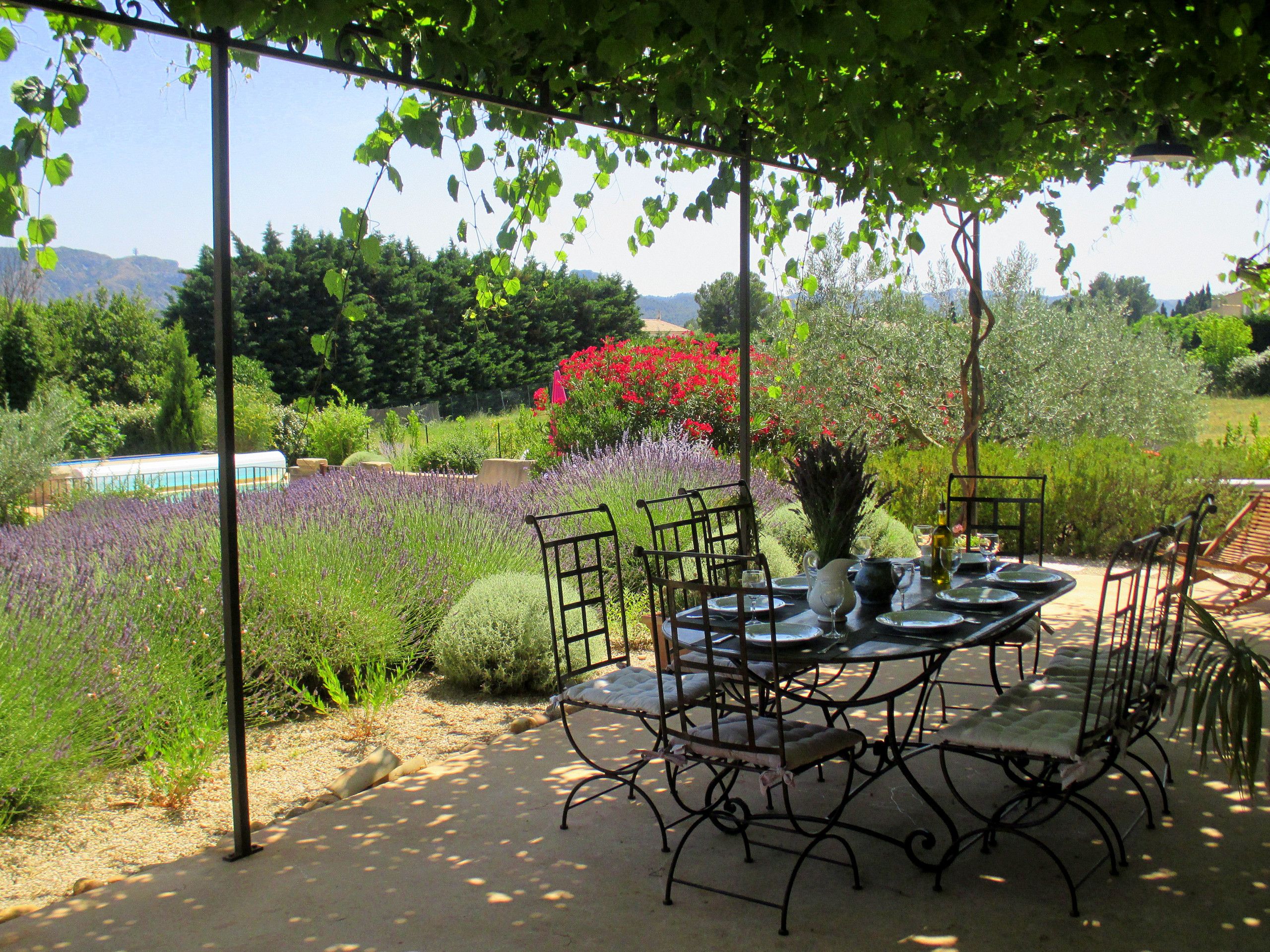 Un jardín al aire libre con una mesa y sillas bajo una pérgola, rodeado de plantas y flores diversas.