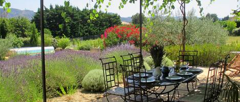 An outdoor garden setting with a table and chairs under a pergola, surrounded by various plants and flowers.