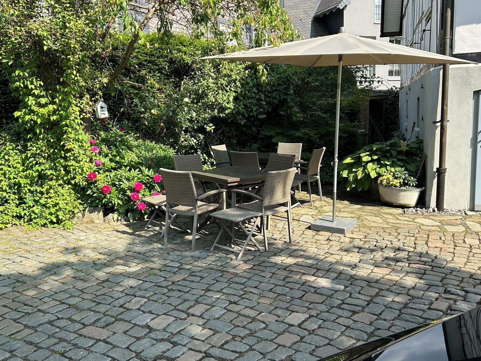 Een terras buiten met een tafel en stoelen, omringd door groen en een plant in een pot.