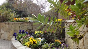 A stone garden with a variety of flowers and plants, including yellow, purple, and white blooms, and a stone wall.
