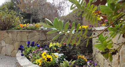 Charmantes Studio in St. Paul de Vence in einer Villa mit Terrasse und Garten